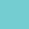 311 - Limpet Shell