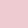 419 - Rose