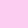 427 - Rose