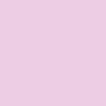 Y1 - Rose classique