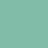 513 - Neo Mint