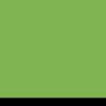 GNBK - Vivid Green/Black