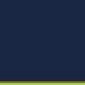 256 - Navy/Lime