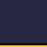 272 - Navy/Yellow