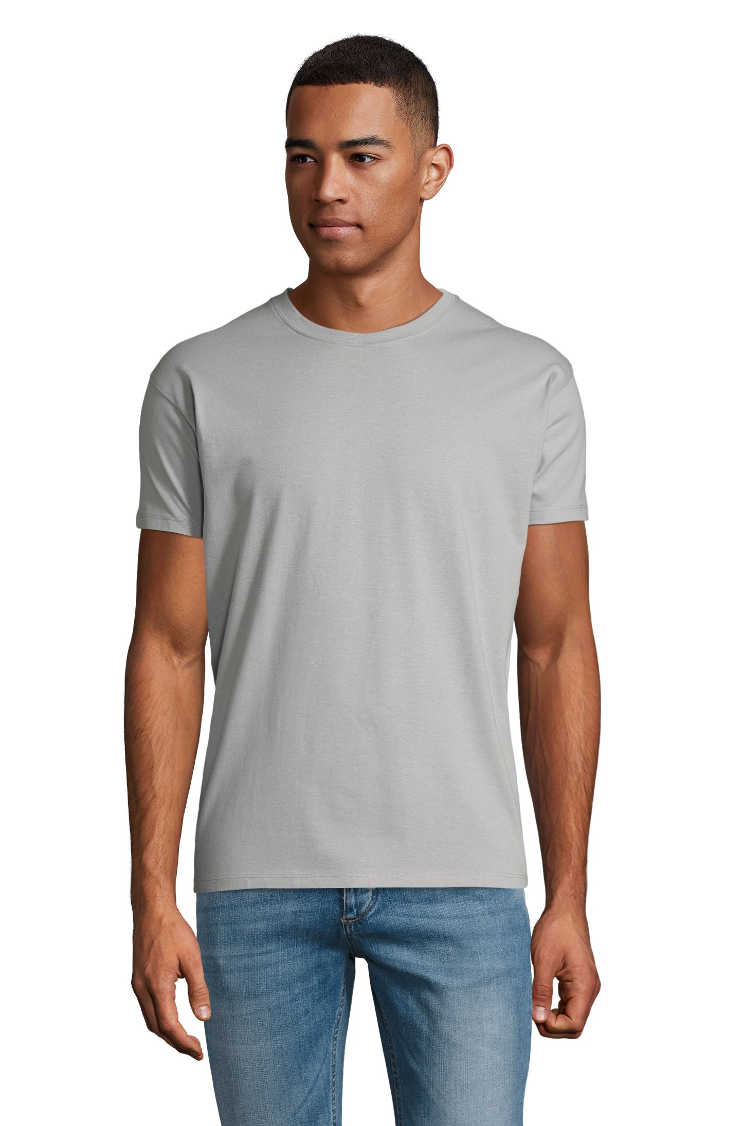 REGENT - 342 - Reines Grau
