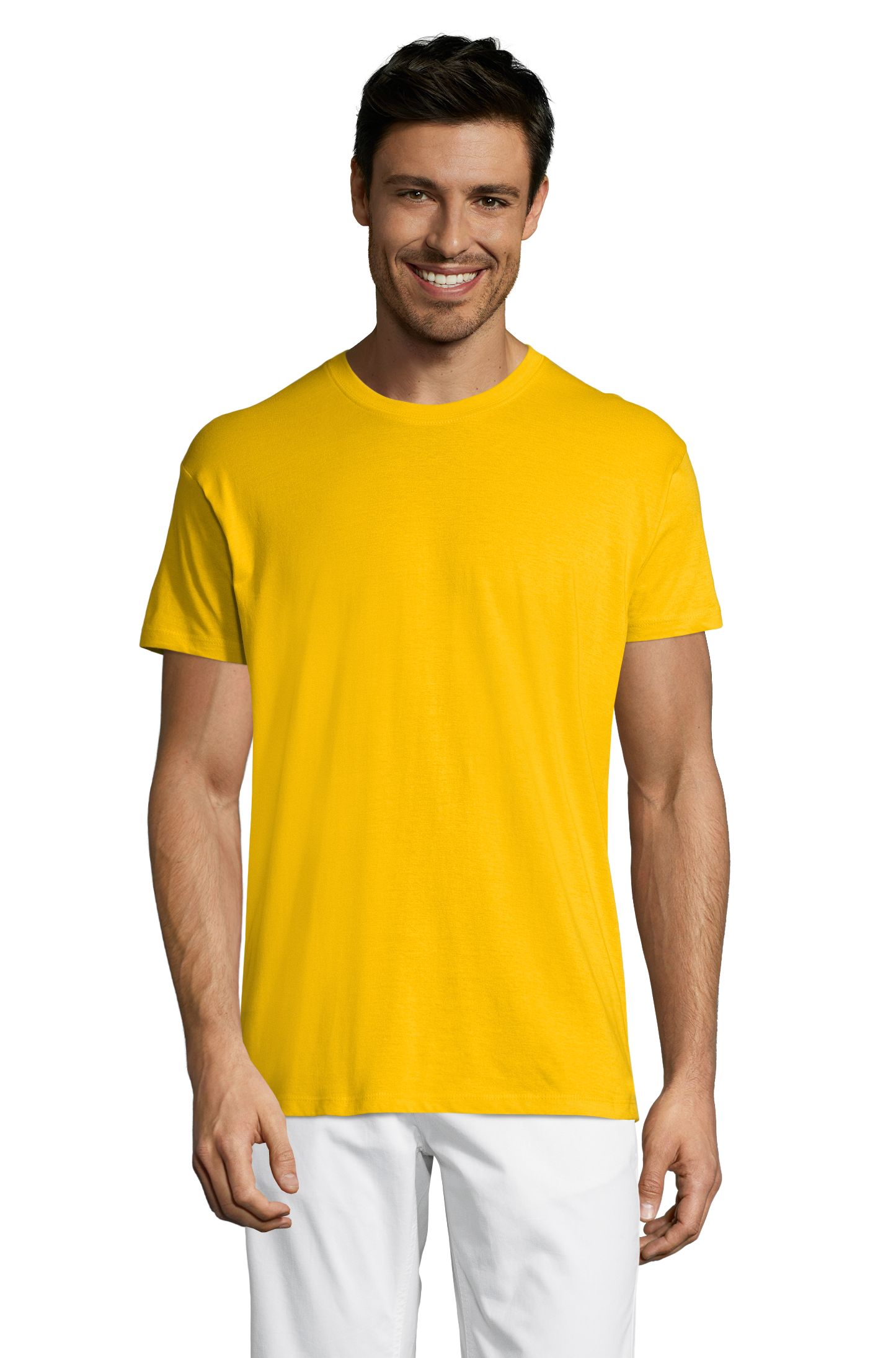 REGENT - 301 - Goldgelb
