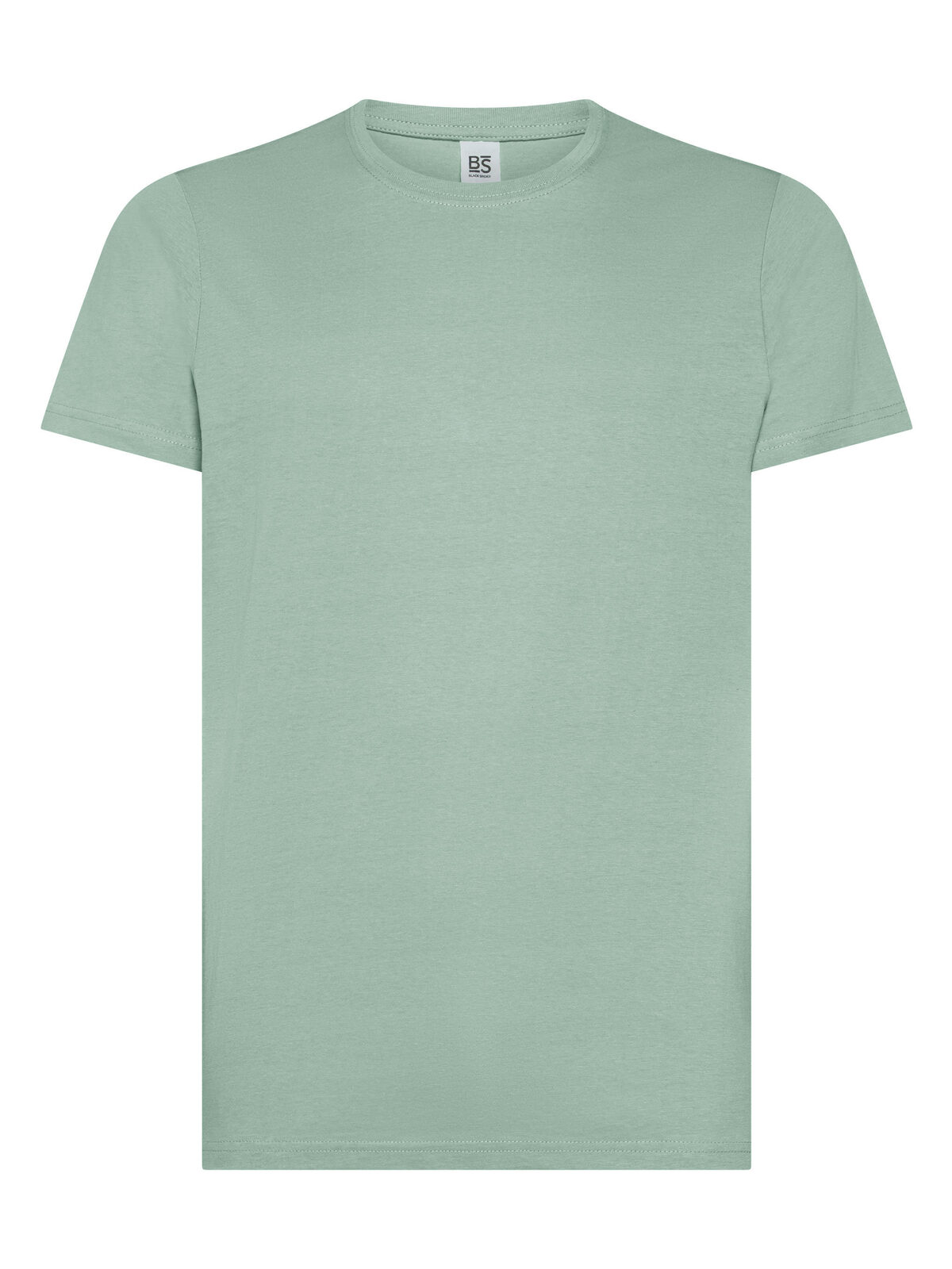 Evolution T-Shirt - SA - Salbei