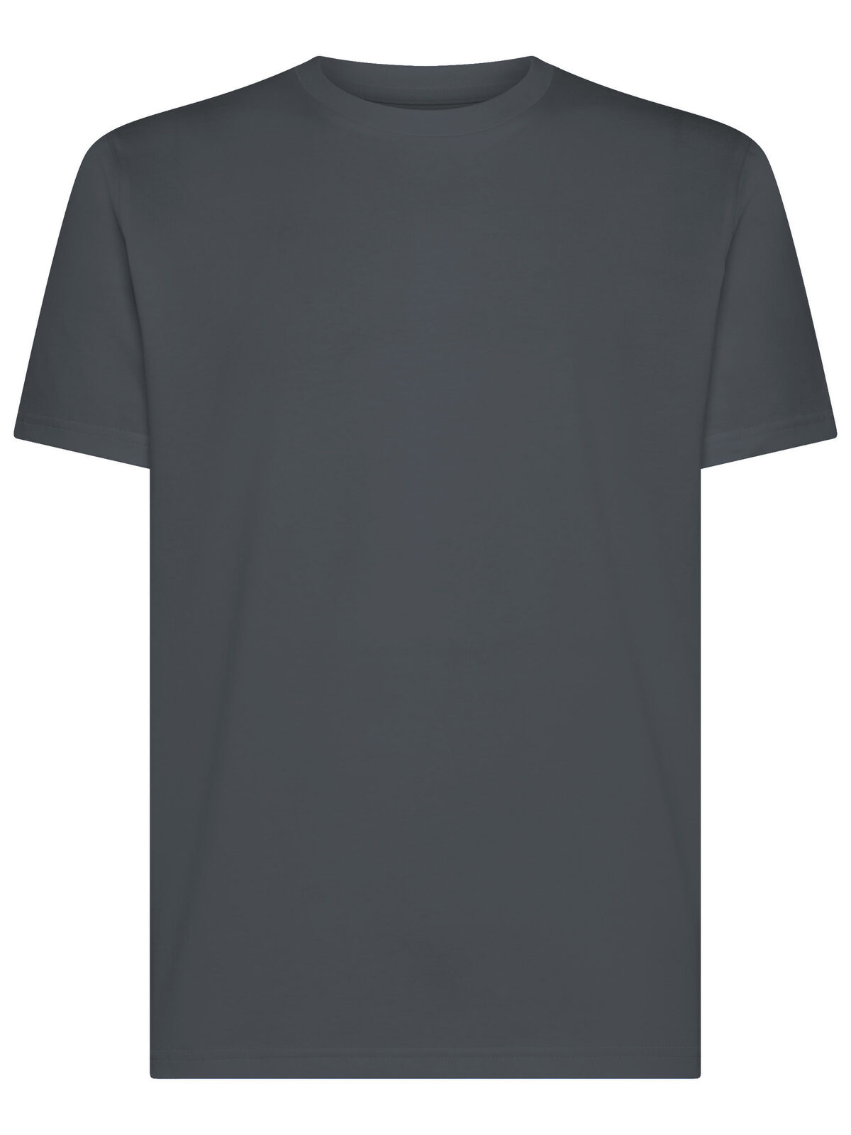 T-shirt Paradise Fit - DG - Gris foncé