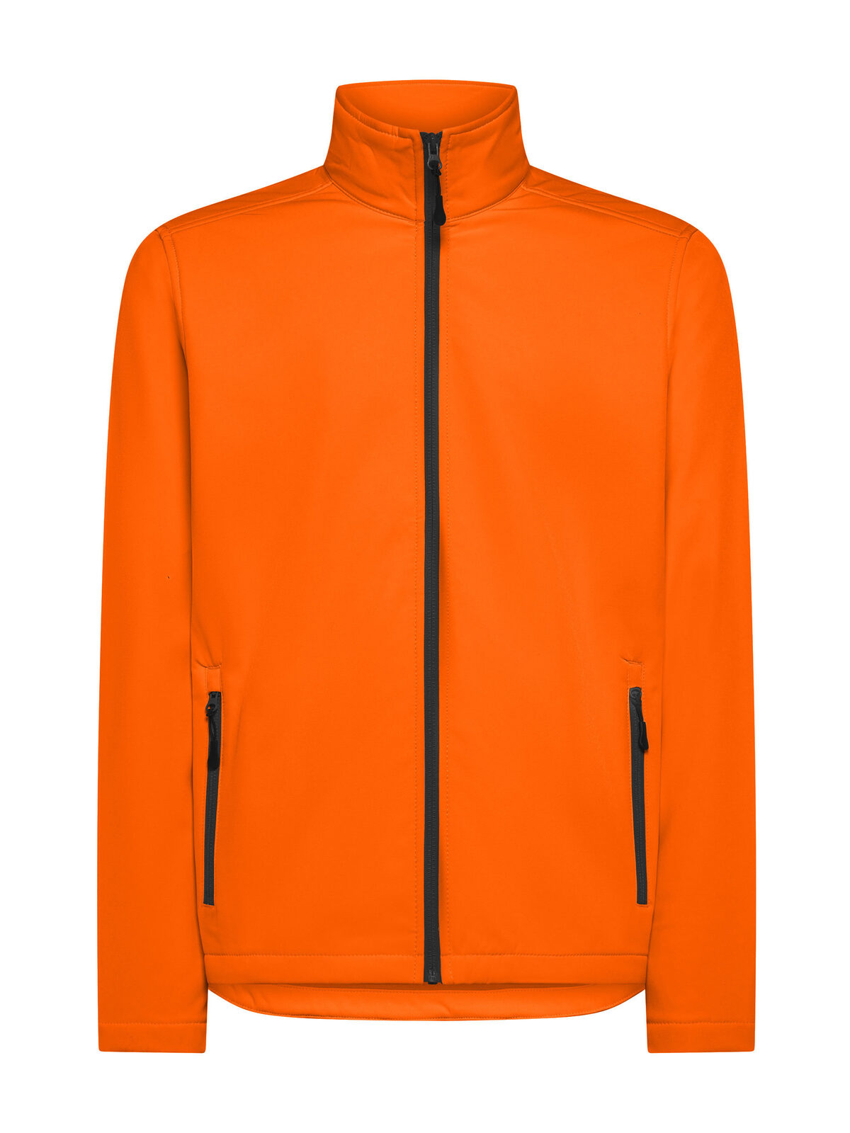 Visitor - OR - Orange
