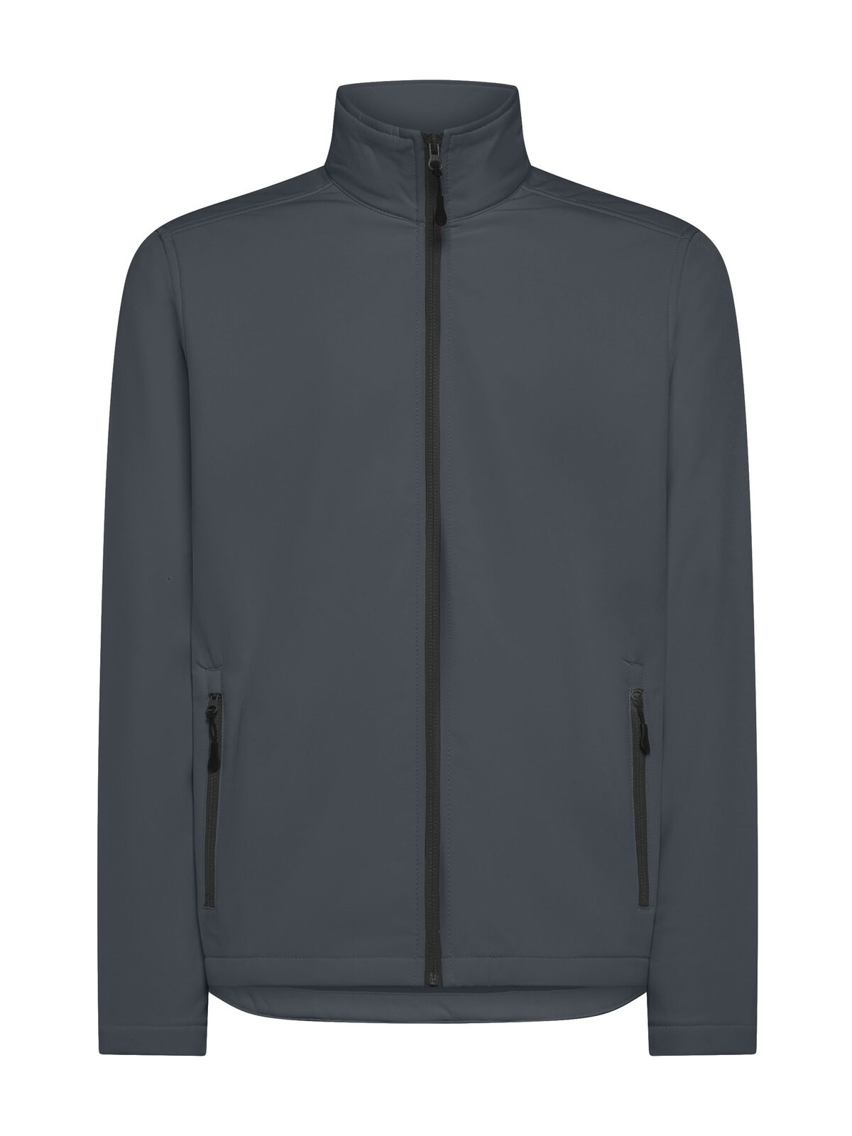 Visitor - DG - Dark grey