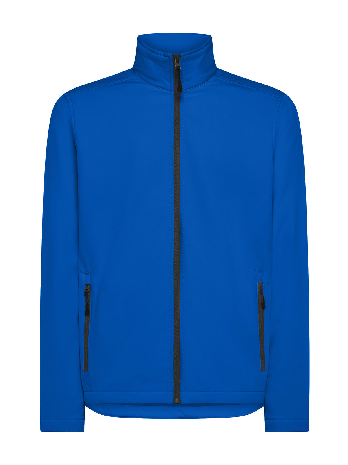 Visitor - RB - Royal Blue