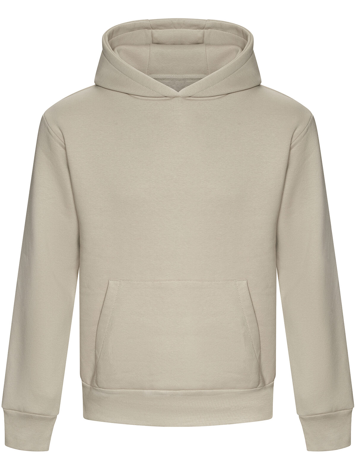 Sweat à capuche signature épais - NTS - Pierre Naturelle